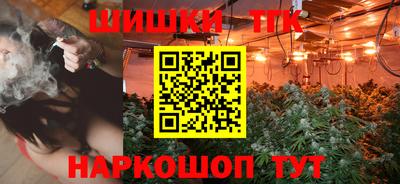 дживик Можга
