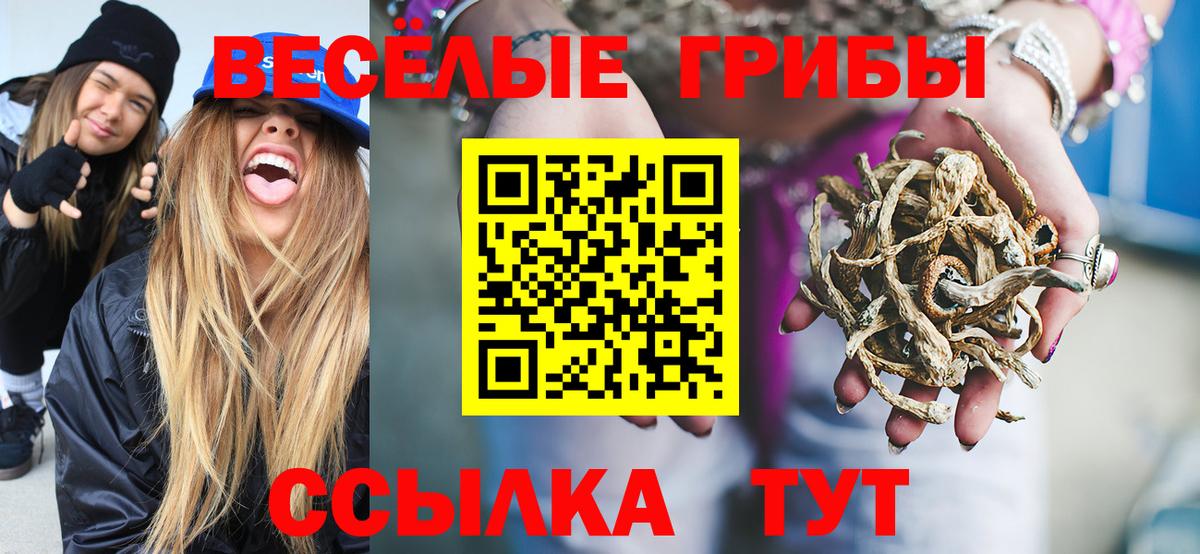 Галлюциногенные грибы Cubensis Щёлково