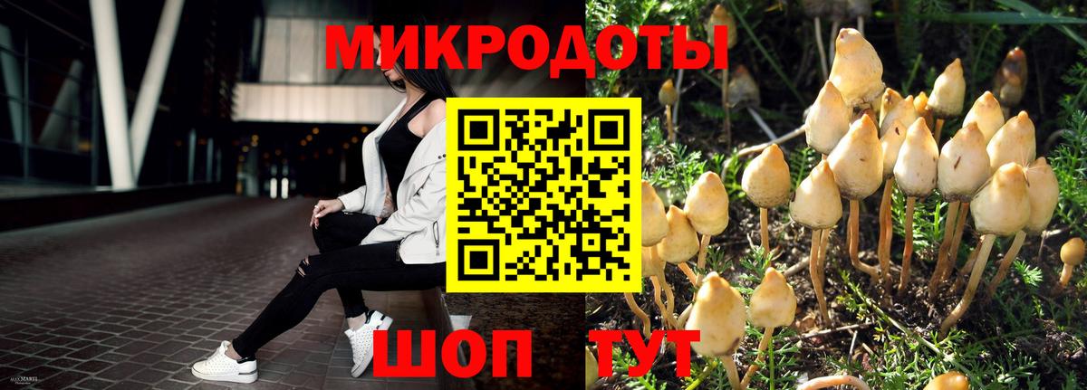 Псилоцибиновые грибы GOLDEN TEACHER  Вход с VPN  Щёлково  Псилоцибиновые грибы прущие грибы 